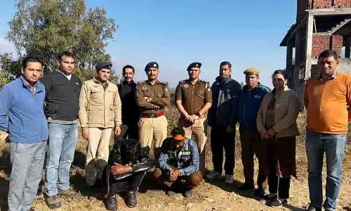 कांगड़ा में NDPS एक्ट के तहत 90 फीसदी आरोपी हिमाचल के युवा