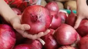 Health: यूरिक एसिड को कंट्रोल करने में फायदेमंद है प्याज का सेवन, जानें कैसे करें इसका इस्तेमाल Health: यूरिक एसिड को कंट्रोल करने में फायदेमंद है प्याज का सेवन, जानें कैसे करें इसका इस्तेमाल