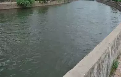 कोडार जलाशय से निस्तारी के लिए पानी छोड़ने की मांग कोडार जलाशय से निस्तारी के लिए पानी छोड़ने की मांग