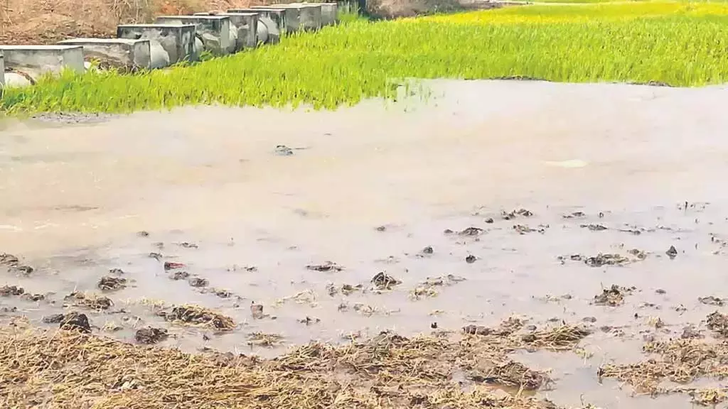 AP: देवादुला लिफ्ट सिंचाई बड़ी सुरंग रिसाव के बाद रोक दी AP: देवादुला लिफ्ट सिंचाई बड़ी सुरंग रिसाव के बाद रोक दी