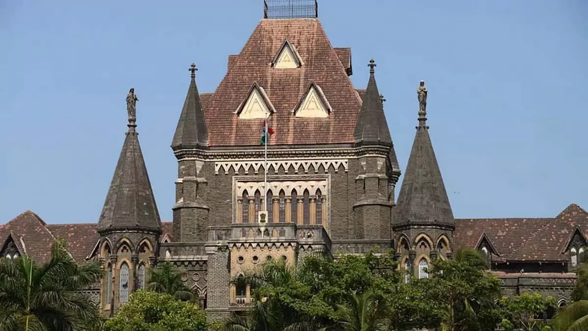 बॉम्बे हाईकोर्ट ने बलात्कार मामले में DY पाटिल के पोते को अंतरिम संरक्षण दिया बॉम्बे हाईकोर्ट ने बलात्कार मामले में DY पाटिल के पोते को अंतरिम संरक्षण दिया