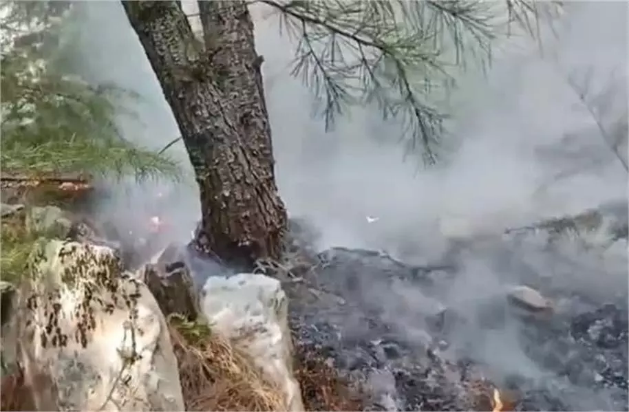 Kashmir : एक बार फिर धधक रहे जंगल, आग बुझाने में जुटा वन विभाग Kashmir : एक बार फिर धधक रहे जंगल, आग बुझाने में जुटा वन विभाग