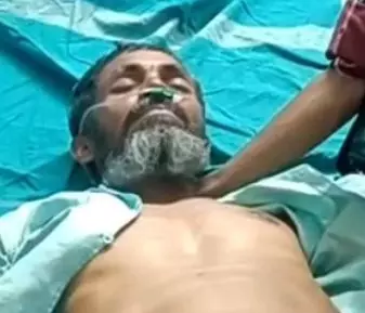 हाथियों ने दंपती पर किया हमला, महिला का एक हाथ शरीर से अलग हाथियों ने दंपती पर किया हमला, महिला का एक हाथ शरीर से अलग