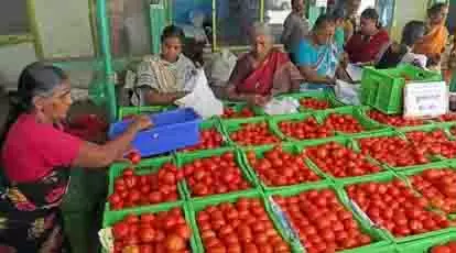 1 अप्रैल को Koyambedu बाजार में टमाटर, बीन्स, गाजर की कीमतें बढ़ गईं 1 अप्रैल को Koyambedu बाजार में टमाटर, बीन्स, गाजर की कीमतें बढ़ गईं