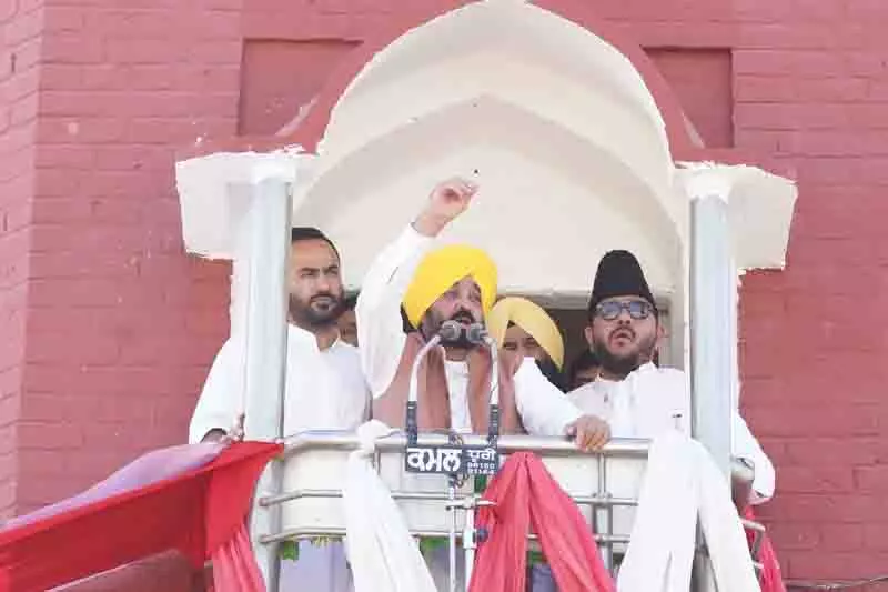 पंजाब में नफरत के लिए कोई जगह नहीं: CM Mann पंजाब में नफरत के लिए कोई जगह नहीं: CM Mann