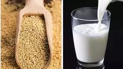 Health : खसखस वाला दूध पीने के फायदे जानकर दंग रह जाएंगे आप Health : खसखस वाला दूध पीने के फायदे जानकर दंग रह जाएंगे आप