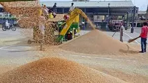 Rudrapur: कुमाऊं में गेहूं खरीद के लिए 150 क्रय केंद्र बनाए गए Rudrapur: कुमाऊं में गेहूं खरीद के लिए 150 क्रय केंद्र बनाए गए