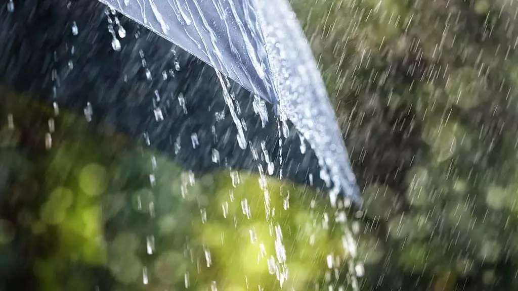 Karnataka Rains : राज्य के विभिन्न हिस्सों में बारिश की संभावना Karnataka Rains : राज्य के विभिन्न हिस्सों में बारिश की संभावना