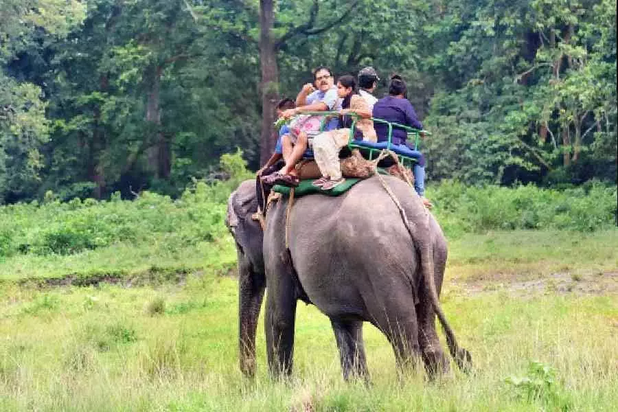 Bengal: वन क्षेत्र में प्रवेश के लिए ऑफलाइन बाधा, पर्यटकों ने ऑनलाइन बुकिंग न होने का मुद्दा उठाया Bengal: वन क्षेत्र में प्रवेश के लिए ऑफलाइन बाधा, पर्यटकों ने ऑनलाइन बुकिंग न होने का मुद्दा उठाया