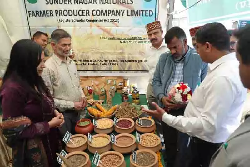Himachal: टिकाऊ कृषि पद्धतियों के लिए किसान और विशेषज्ञ एकजुट Himachal: टिकाऊ कृषि पद्धतियों के लिए किसान और विशेषज्ञ एकजुट