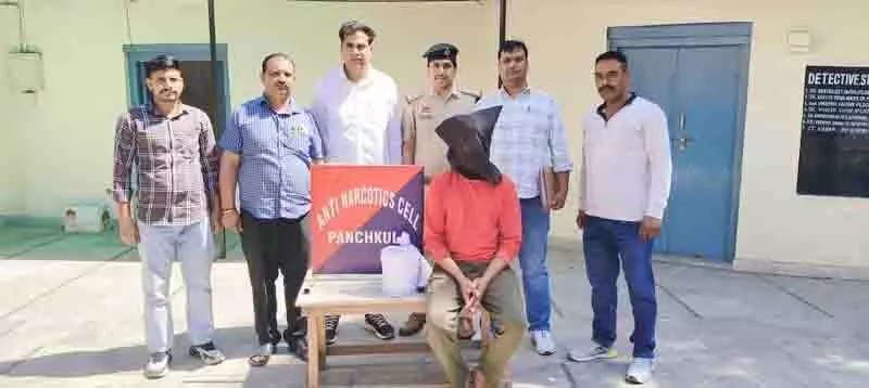 Panchkula में 2.1 किलोग्राम अफीम के साथ एक व्यक्ति गिरफ्तार Panchkula में 2.1 किलोग्राम अफीम के साथ एक व्यक्ति गिरफ्तार
