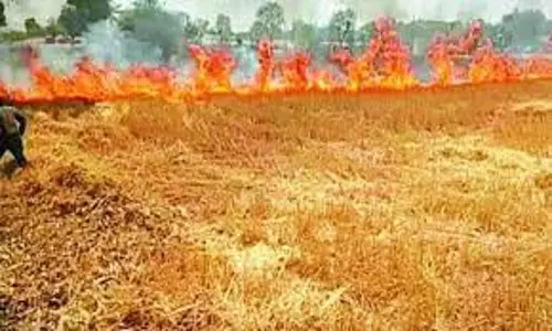 Damoh: ट्रॉली में भरी गेहूं की फसल में आग, शॉर्ट सर्किट से हुआ हादसा