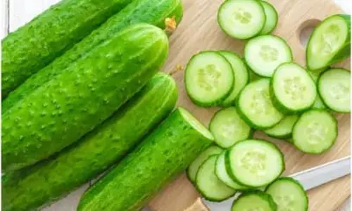 Cucumber Benefits : गर्मी में खीरे को डाइट में शामिल करने के फायदें