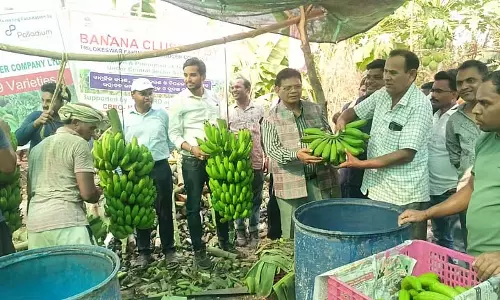 Kalahandi G9 केले दुबई के बाजार में प्रवेश कर गए
