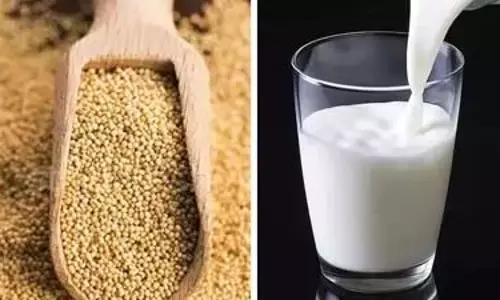 Health : खसखस वाला दूध पीने के फायदे जानकर दंग रह जाएंगे आप