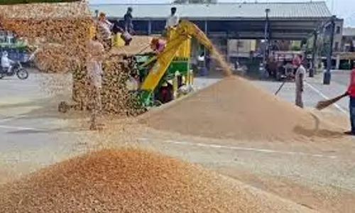 Rudrapur: कुमाऊं में गेहूं खरीद के लिए 150 क्रय केंद्र बनाए गए Rudrapur: कुमाऊं में गेहूं खरीद के लिए 150 क्रय केंद्र बनाए गए
