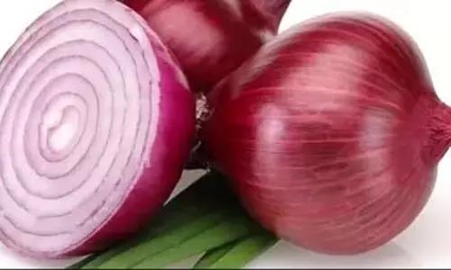 Uric Acid कंट्रोल करता है प्याज: जानें कैसे करें इस्तेमाल Uric Acid कंट्रोल करता है प्याज: जानें कैसे करें इस्तेमाल