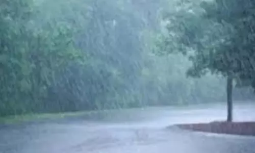 IMD ने गोवा के लिए येलो अलर्ट जारी किया IMD ने गोवा के लिए येलो अलर्ट जारी किया