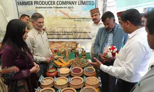 Himachal: टिकाऊ कृषि पद्धतियों के लिए किसान और विशेषज्ञ एकजुट Himachal: टिकाऊ कृषि पद्धतियों के लिए किसान और विशेषज्ञ एकजुट