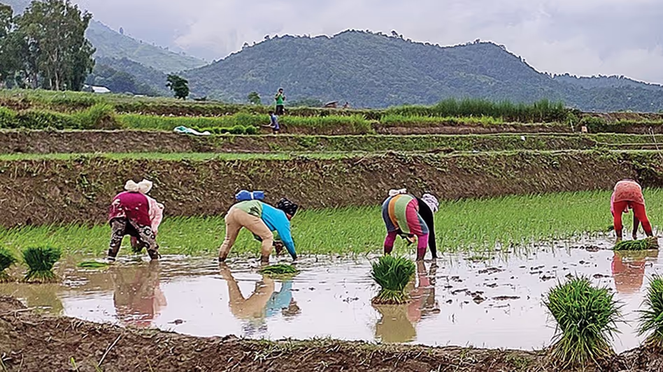 Manipur में पीएम-किसान योजना में अनियमितताओं की ऑडिट रिपोर्ट सामने आई एफआईआर दर्ज