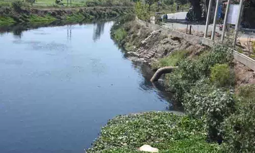 सरकारी सर्वेक्षण में पाया गया, 156 आउटलेट अभी भी Budha Nullah को प्रदूषित कर रहे सरकारी सर्वेक्षण में पाया गया, 156 आउटलेट अभी भी Budha Nullah को प्रदूषित कर रहे