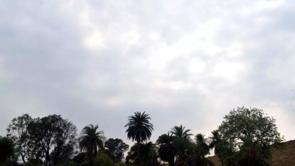 Bhopal: भोपाल-जबलपुर में चलेगी आंधी, 24 से ज्यादा जिलों में बारिश का अलर्ट जारी Bhopal: भोपाल-जबलपुर में चलेगी आंधी, 24 से ज्यादा जिलों में बारिश का अलर्ट जारी