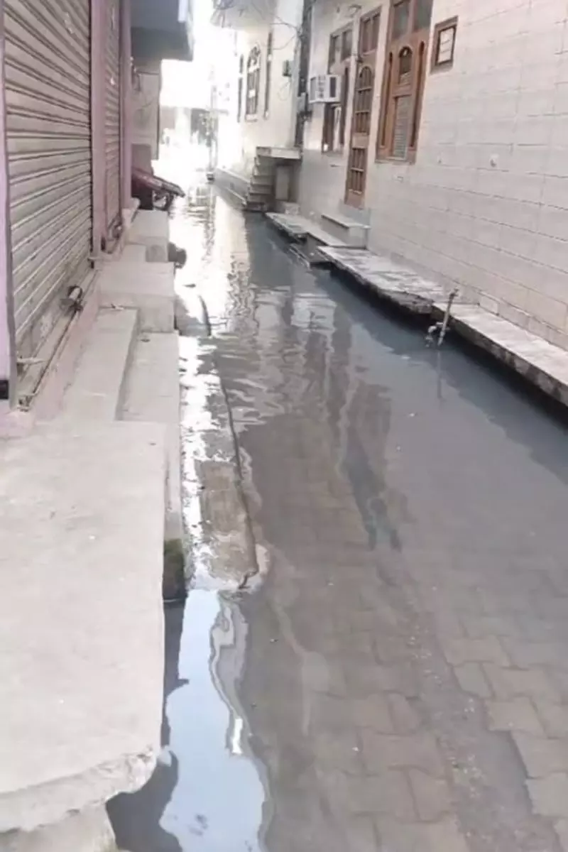 Haryana : अंबाला के वार्ड 10 में ओवरफ्लो हो रही नालियां निवासियों के लिए परेशानी का कारण Haryana : अंबाला के वार्ड 10 में ओवरफ्लो हो रही नालियां निवासियों के लिए परेशानी का कारण