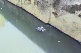 Haridwar: नाले में नवजात बच्ची का शव मिलने से हड़कंप, मानवता पर उठे सवाल Haridwar: नाले में नवजात बच्ची का शव मिलने से हड़कंप, मानवता पर उठे सवाल