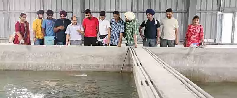 Punjab में सालाना 1.81 लाख टन मछली उत्पादन Punjab में सालाना 1.81 लाख टन मछली उत्पादन