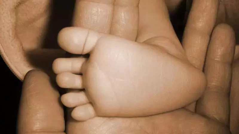 AP: रामपचोदवरम अस्पताल से अगवा किया गया बच्चा बरामद AP: रामपचोदवरम अस्पताल से अगवा किया गया बच्चा बरामद