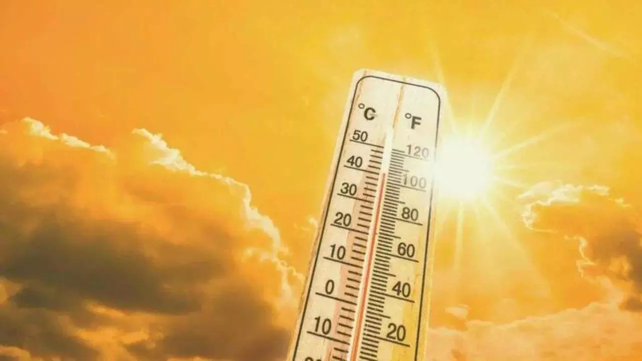 Heatwave के दौरान सेहत पर पड़ता है बुरा असर, जानें बचाव के तरीके Heatwave के दौरान सेहत पर पड़ता है बुरा असर, जानें बचाव के तरीके