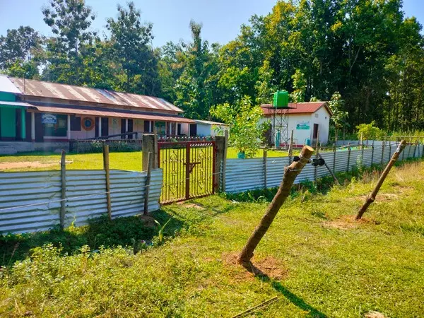 Assam: मानव-हाथी संघर्ष प्रभावित क्षेत्रों में सौर बाड़ से स्कूलों में निर्बाध शिक्षा संभव Assam: मानव-हाथी संघर्ष प्रभावित क्षेत्रों में सौर बाड़ से स्कूलों में निर्बाध शिक्षा संभव