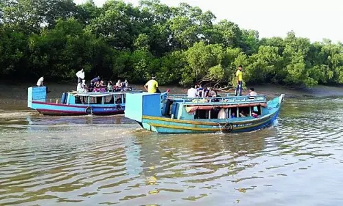 भीतरकनिका राष्ट्रीय उद्यान पर मीठे पानी के संकट का खतरा