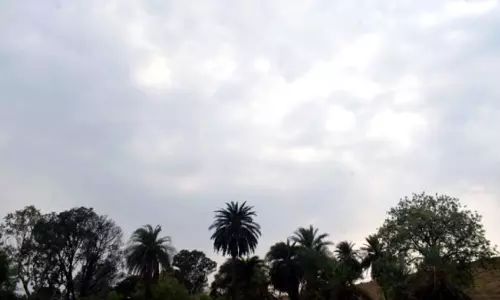 Bhopal: भोपाल-जबलपुर में चलेगी आंधी, 24 से ज्यादा जिलों में बारिश का अलर्ट जारी