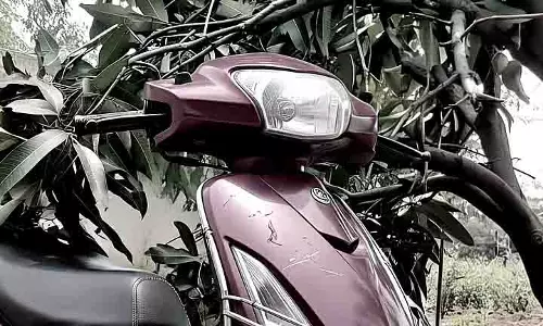 Valpoi में चलती स्कूटर पर आम का पेड़ गिरा, सवार घायल