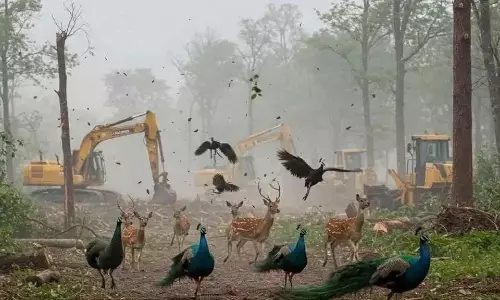 AI सोशल मीडिया विरोध का नया माध्यम