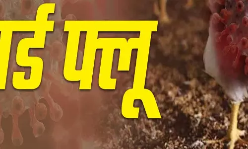 बर्ड फ्लू, रैपिड रिस्पांस टीम का गठन
