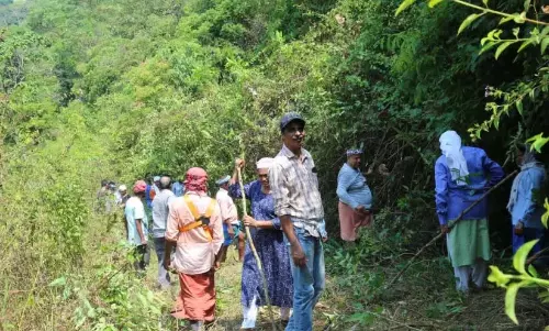 Kerala: अय्यनकुन्नु में सौर बाड़ का निर्माण कार्य धीमा चल रहा Kerala: अय्यनकुन्नु में सौर बाड़ का निर्माण कार्य धीमा चल रहा