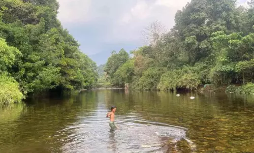 Kerala: करियाम कप्पी में चीक्कन्नी नदी का किनारा एक पर्यटन स्थल बन गया Kerala: करियाम कप्पी में चीक्कन्नी नदी का किनारा एक पर्यटन स्थल बन गया