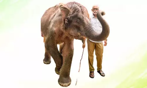 Kerala; कोन्नी कोचैयाप्पन के प्रशिक्षण का दूसरा चरण शुरू
