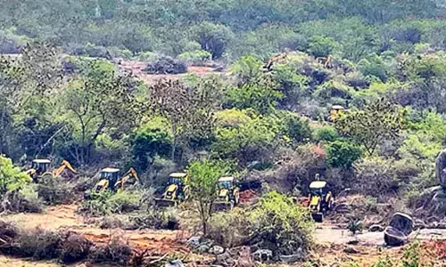 Telangana : कांचा गाचीबोवली जमीन पर रिपोर्ट दें, केंद्र का आदेश