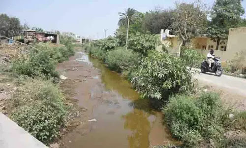 200 टीपीडी गोबर अभी भी बुद्ध नाले में बह रहा: MC