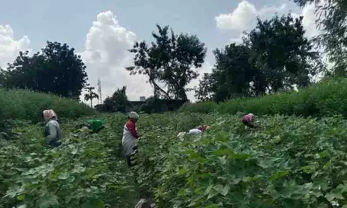 किसानों ने रेवंत रेड्डी के अधूरे रयथु भरोसा वादे को क्रूर ‘April Fool’ शरारत बताया