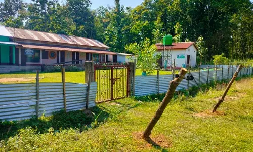 Assam: मानव-हाथी संघर्ष प्रभावित क्षेत्रों में सौर बाड़ से स्कूलों में निर्बाध शिक्षा संभव