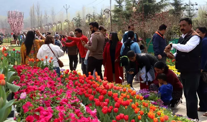 ईद पर ट्यूलिप गार्डन में 75,000 लोग, कुल पर्यटक 1.56 लाख पार ईद पर ट्यूलिप गार्डन में 75,000 लोग, कुल पर्यटक 1.56 लाख पार