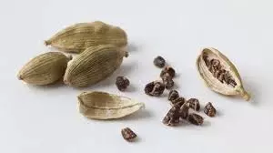 Health: सुबह-सुबह पिएं इस हरे मसाले का पानी, स्वास्थ्य संबंधी समस्याएं होंगी दूर Health: सुबह-सुबह पिएं इस हरे मसाले का पानी, स्वास्थ्य संबंधी समस्याएं होंगी दूर