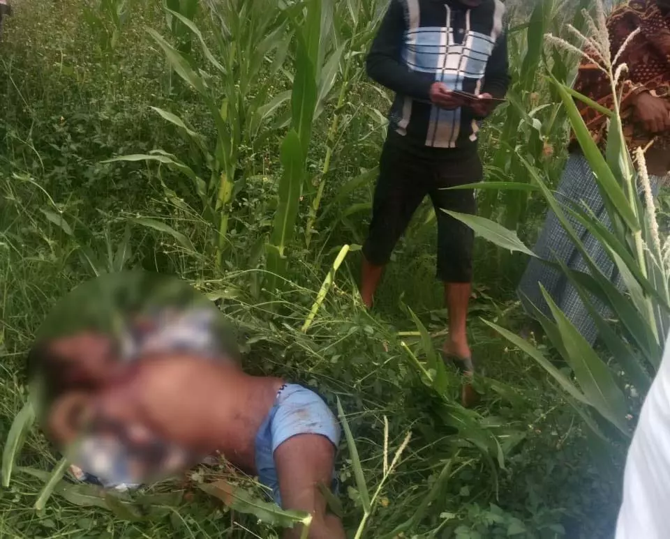 मक्के की फसल रखवाली करने पहुंचा था ग्रामीण, हाथी हमले में मौत मक्के की फसल रखवाली करने पहुंचा था ग्रामीण, हाथी हमले में मौत