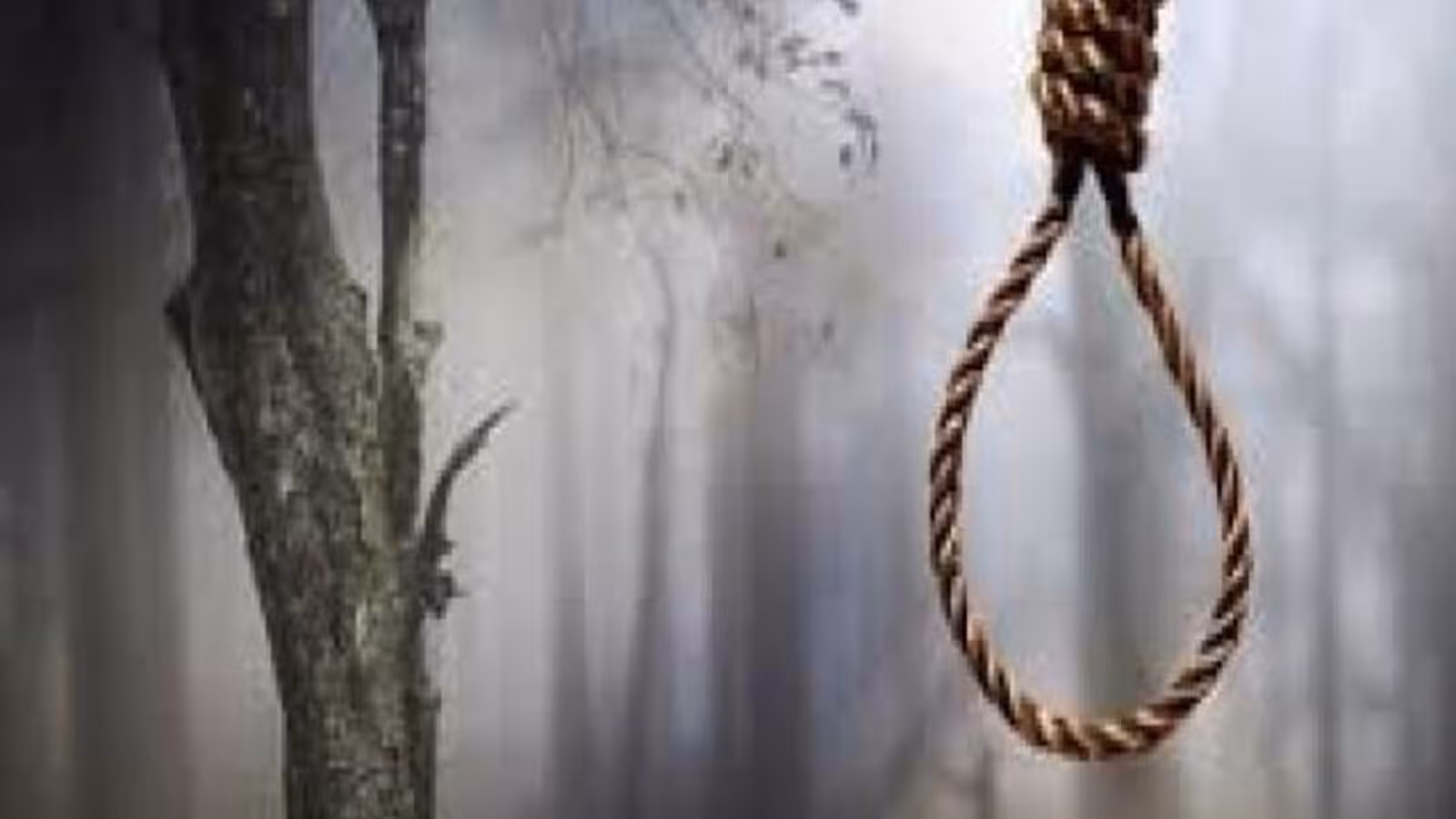 Singrauli: बबूल के पेड़ से लटकता मिला 10 दिन पुराना शव, इलाके में दहशत Singrauli: बबूल के पेड़ से लटकता मिला 10 दिन पुराना शव, इलाके में दहशत