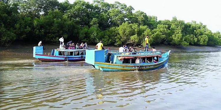 भीतरकनिका राष्ट्रीय उद्यान पर मीठे पानी के संकट का खतरा भीतरकनिका राष्ट्रीय उद्यान पर मीठे पानी के संकट का खतरा