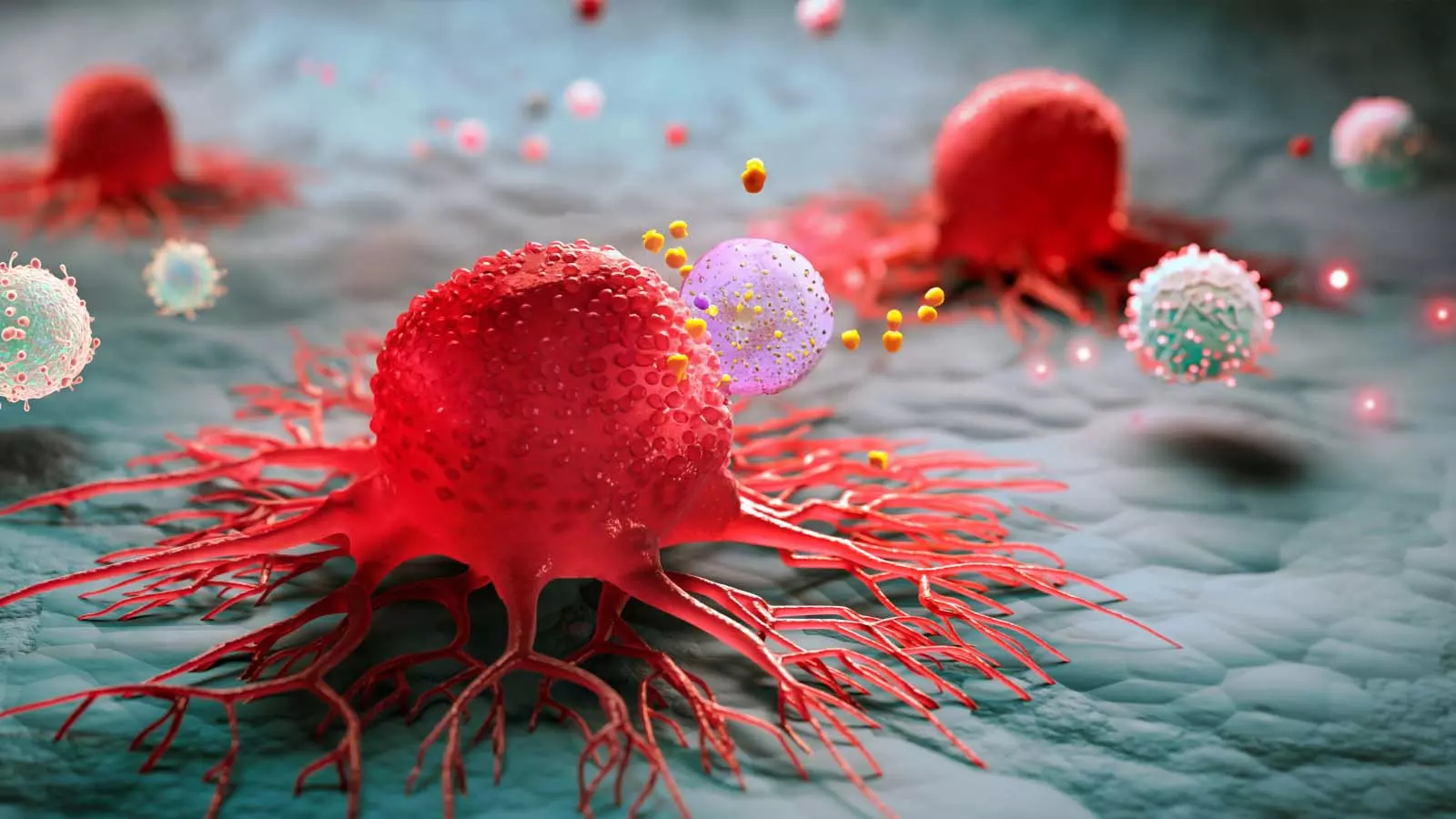 Cancer : शरीर पहले ही देने लगता है ये संकेत Cancer : शरीर पहले ही देने लगता है ये संकेत